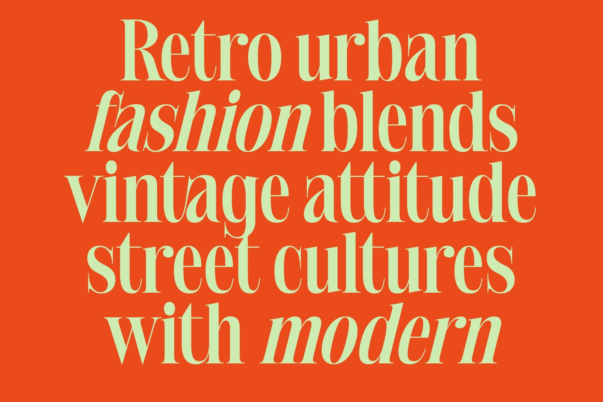 Preview 10 for Delivery Feedback - Modern Serif Font