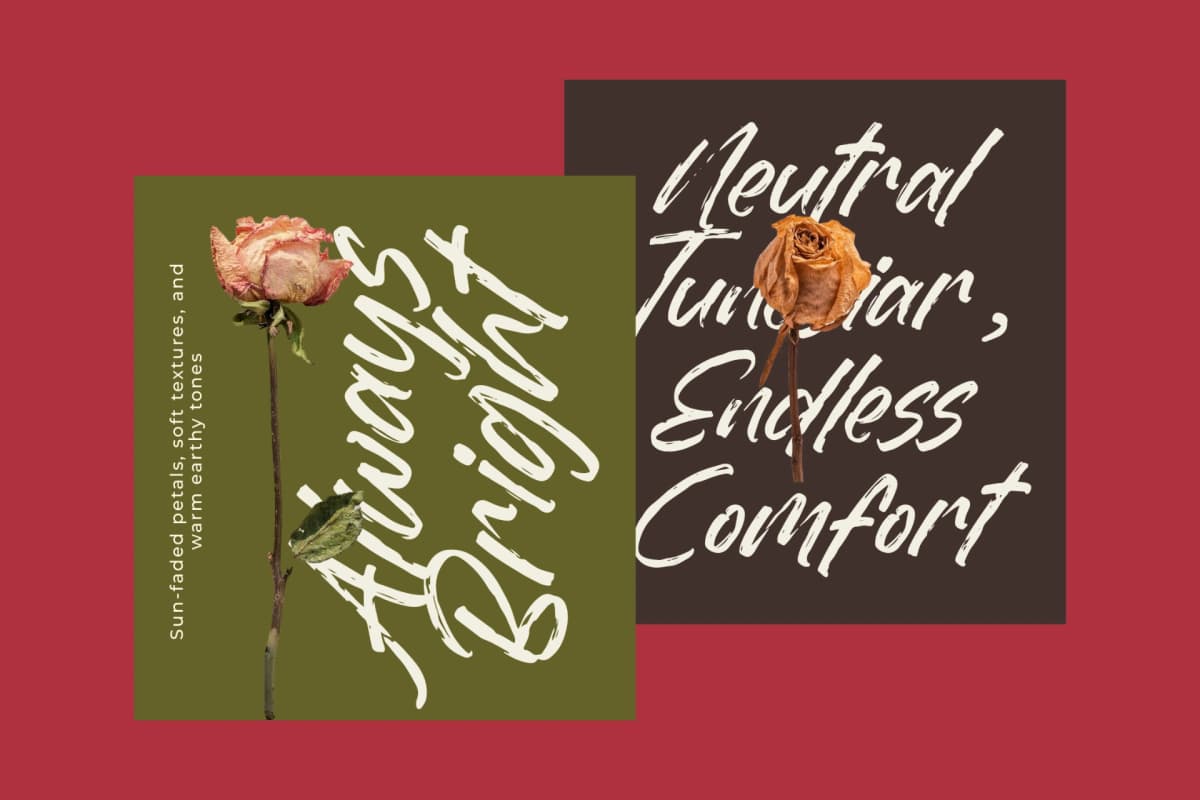 Dummy Catidays - Handwritten Brush Font font preview 10