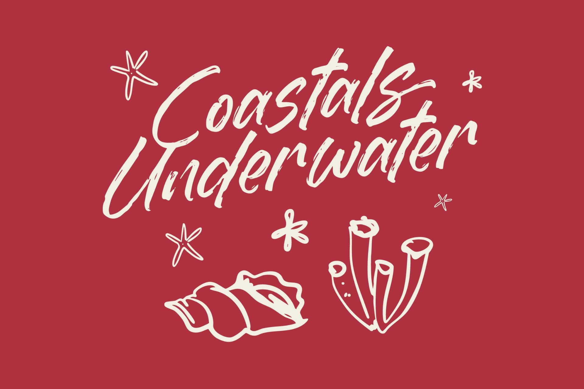 Preview 2 for Dummy Catidays - Handwritten Brush Font