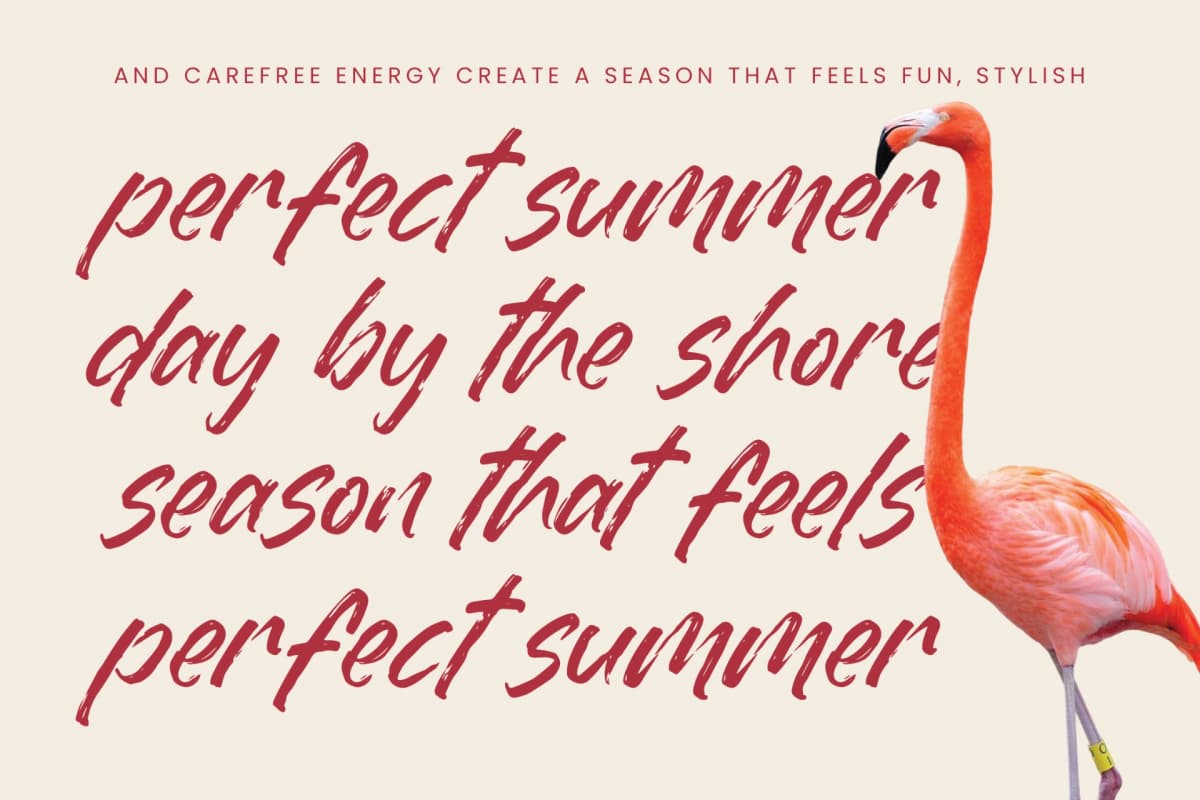 Dummy Catidays - Handwritten Brush Font font preview 9