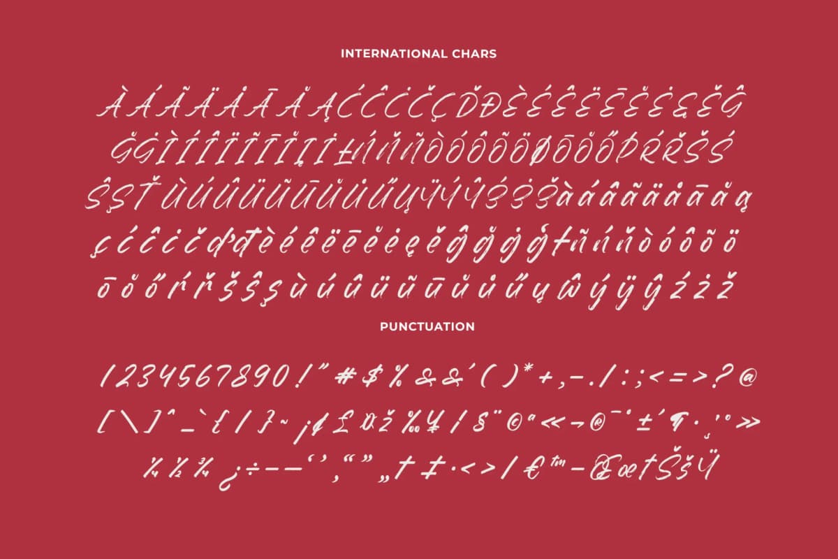 Dummy Catidays - Handwritten Brush Font font preview 18