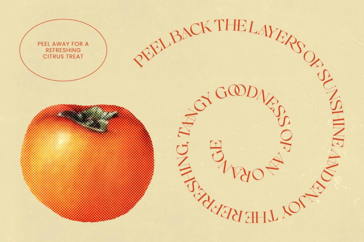 Enikra - Elegant Thin Serif Display font preview 10