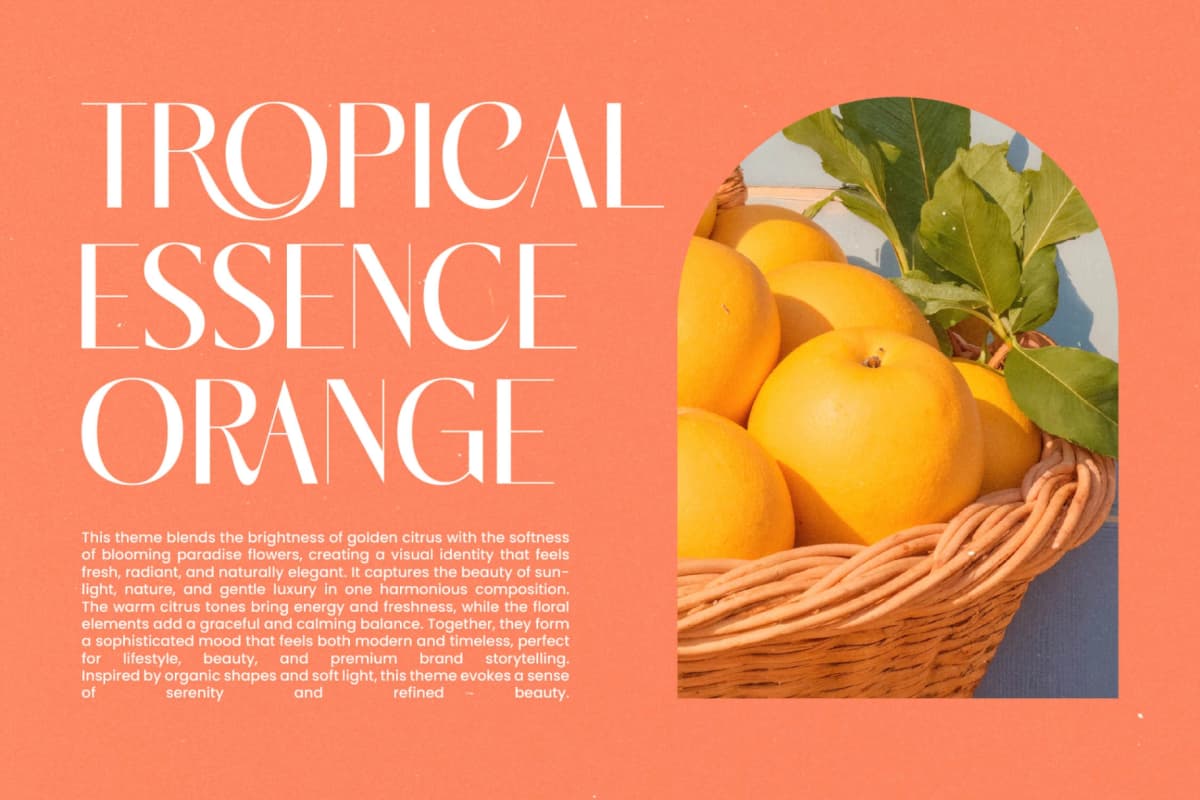 Marogis - Modern Elegant Sans Serif Font font preview 11