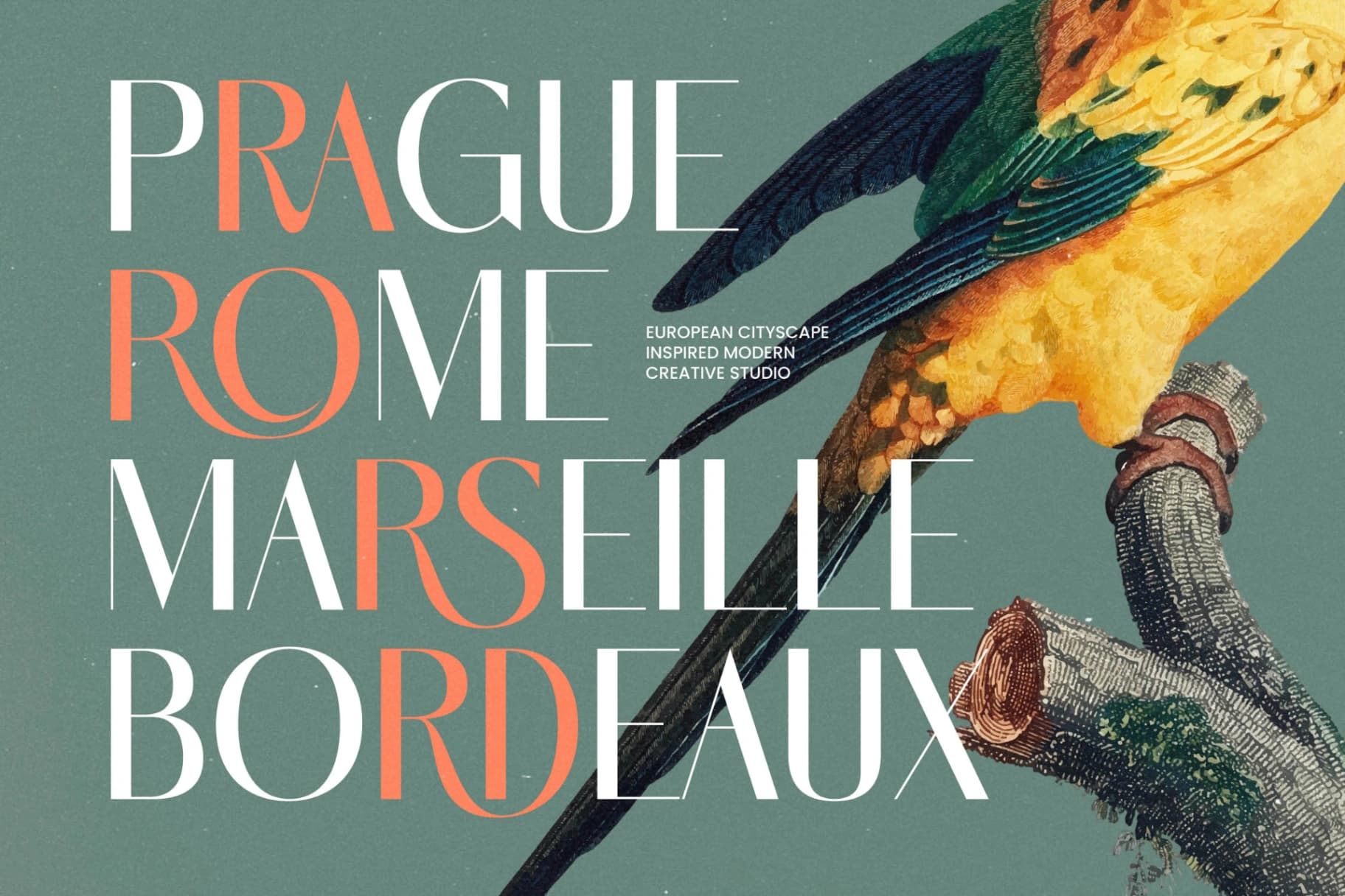 Preview 19 for Marogis - Modern Elegant Sans Serif Font