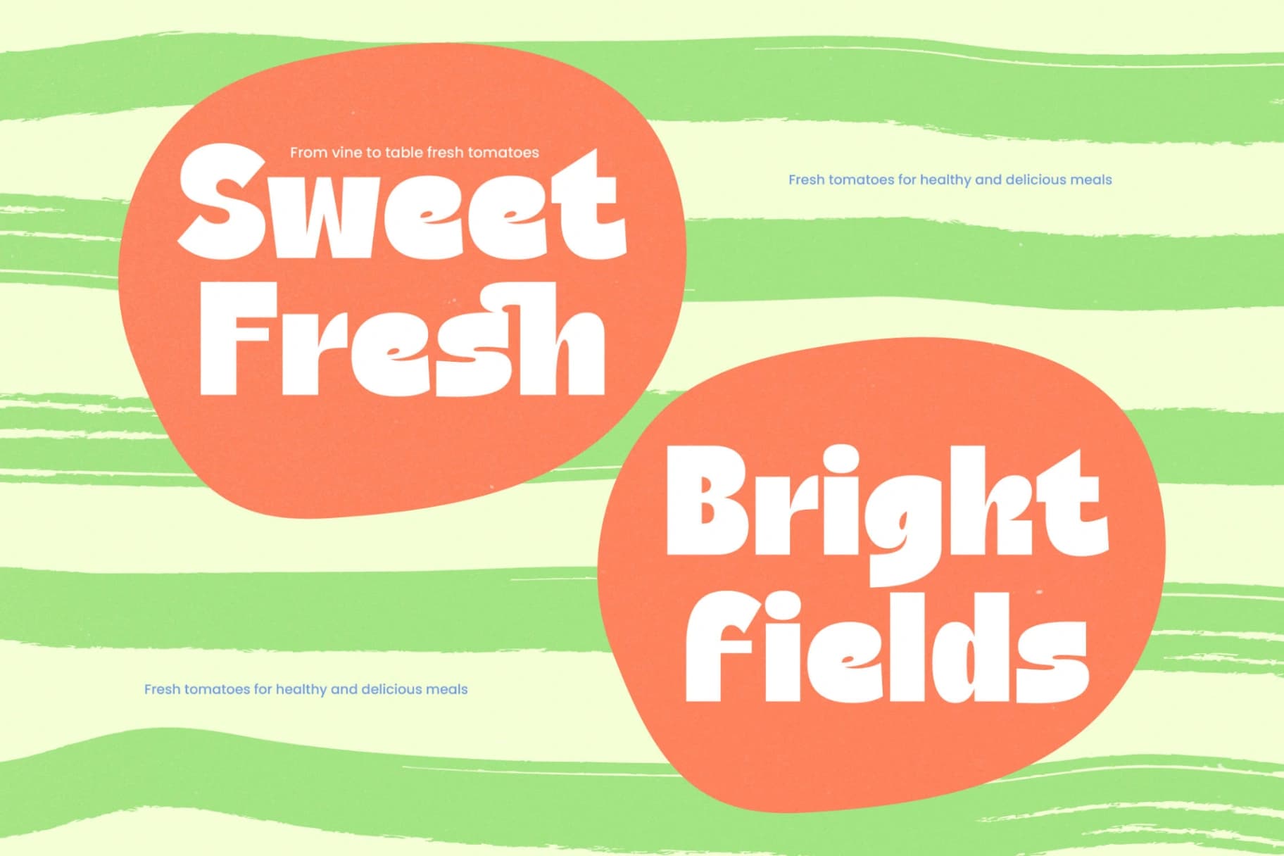 Preview 9 for Natural Sage - Modern Display Sans