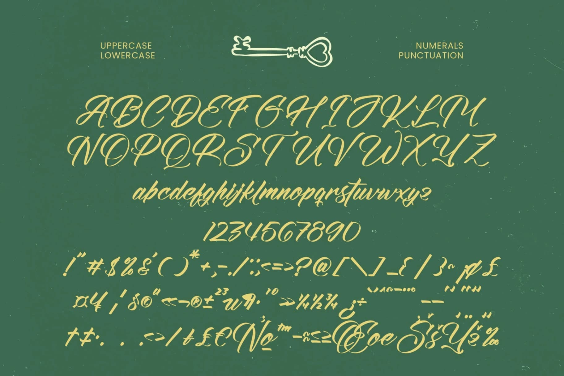 Preview 18 for Amigdal - Bold Calligraphy Font