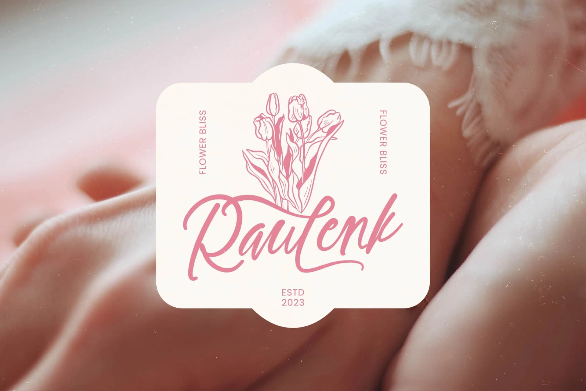 Preview 6 for Jenita Cutes - Bold Handwritten Font