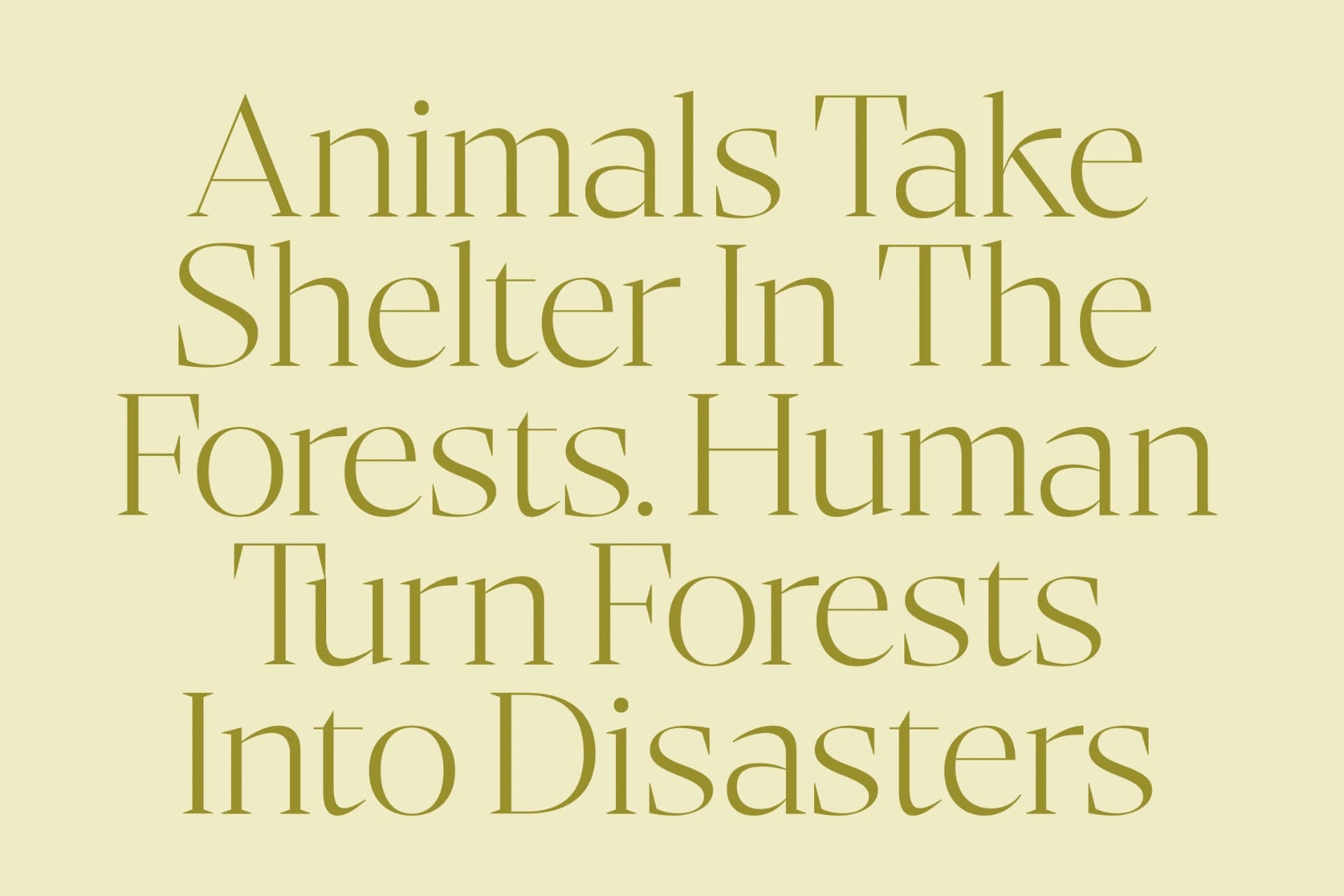 Preview 5 for Bigest Karath - Thin Serif Display