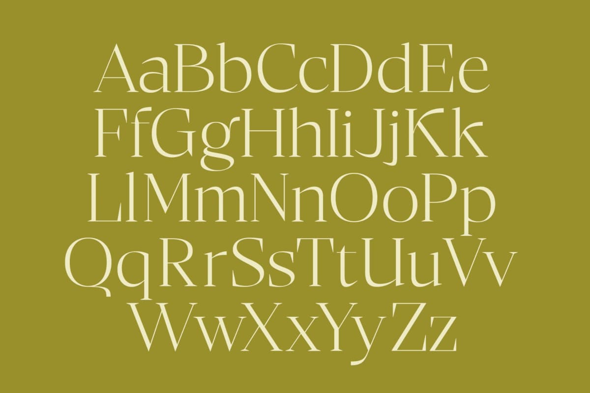 Bigest Karath - Thin Serif Display font preview 14
