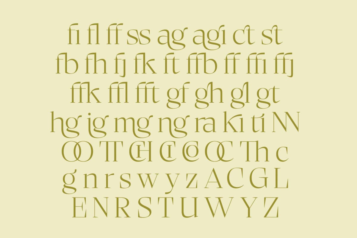 Bigest Karath - Thin Serif Display font preview 17