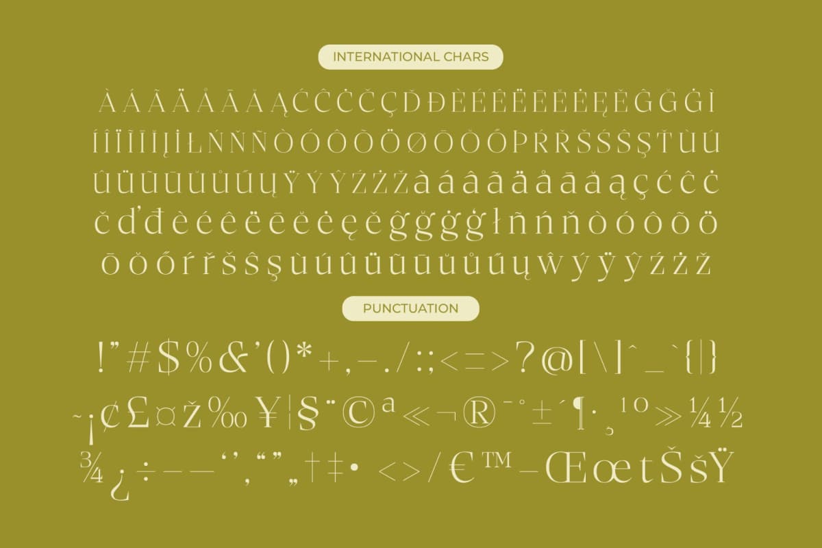 Bigest Karath - Thin Serif Display font preview 18