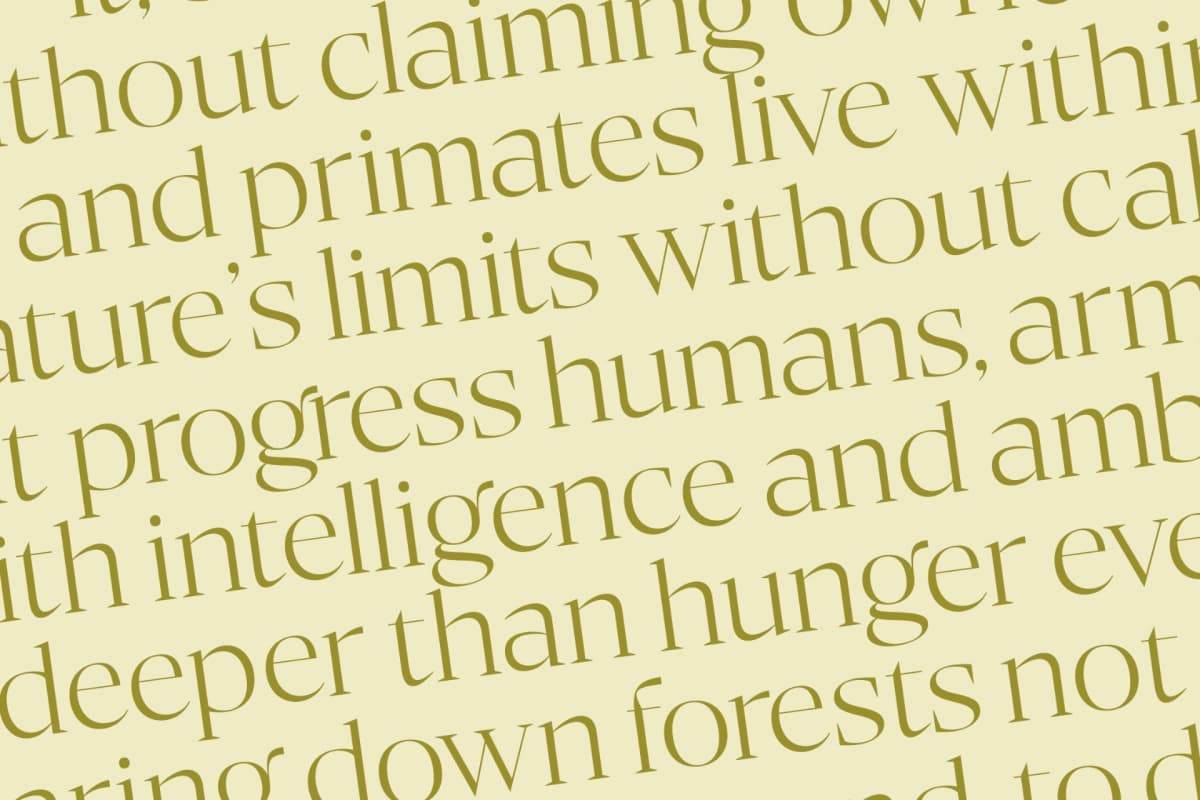 Bigest Karath - Thin Serif Display font preview 15