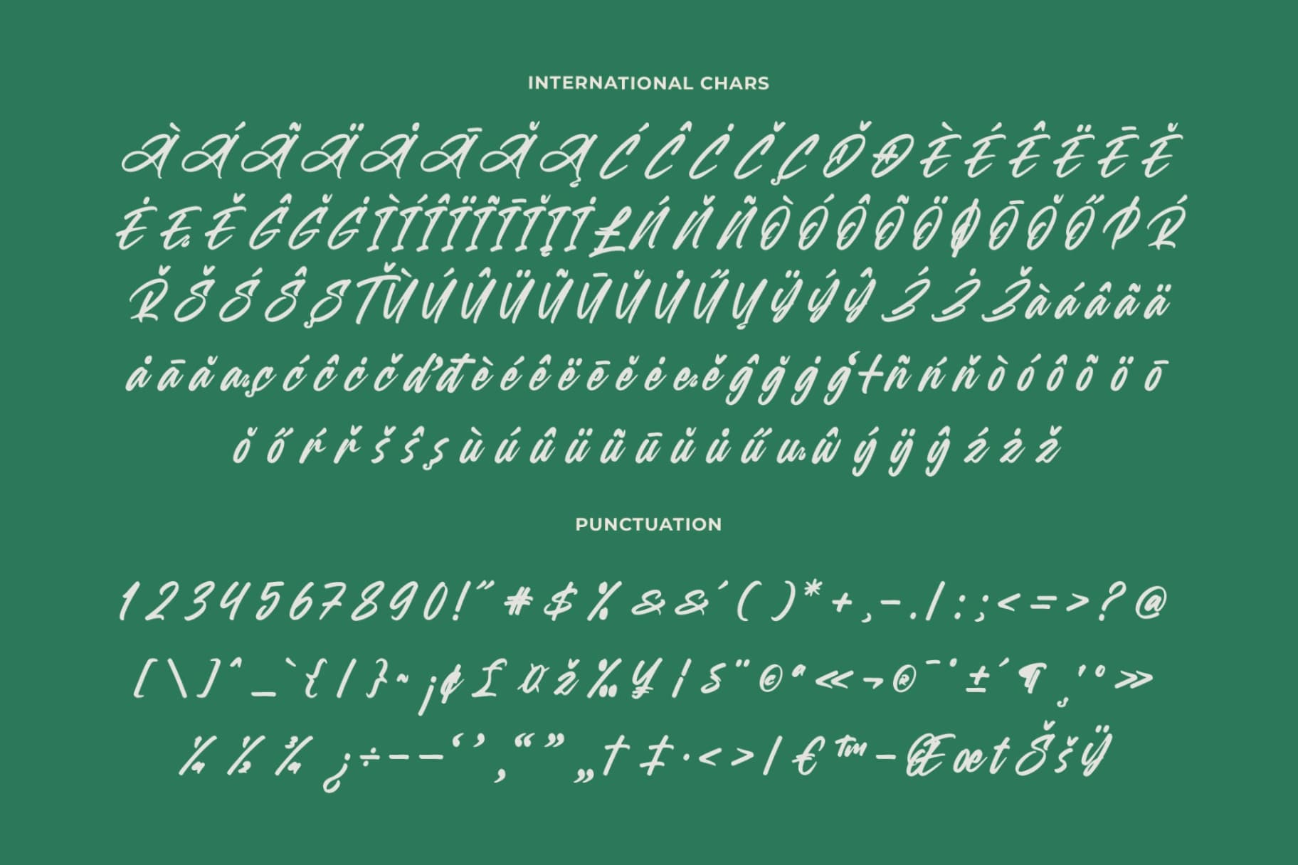 Preview 18 for Heighaps Wastone – Modern Brush Font
