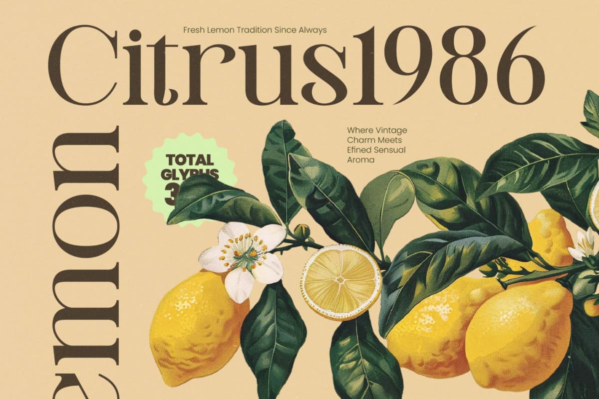 Montague Westfield - Serif Vintage font preview 11