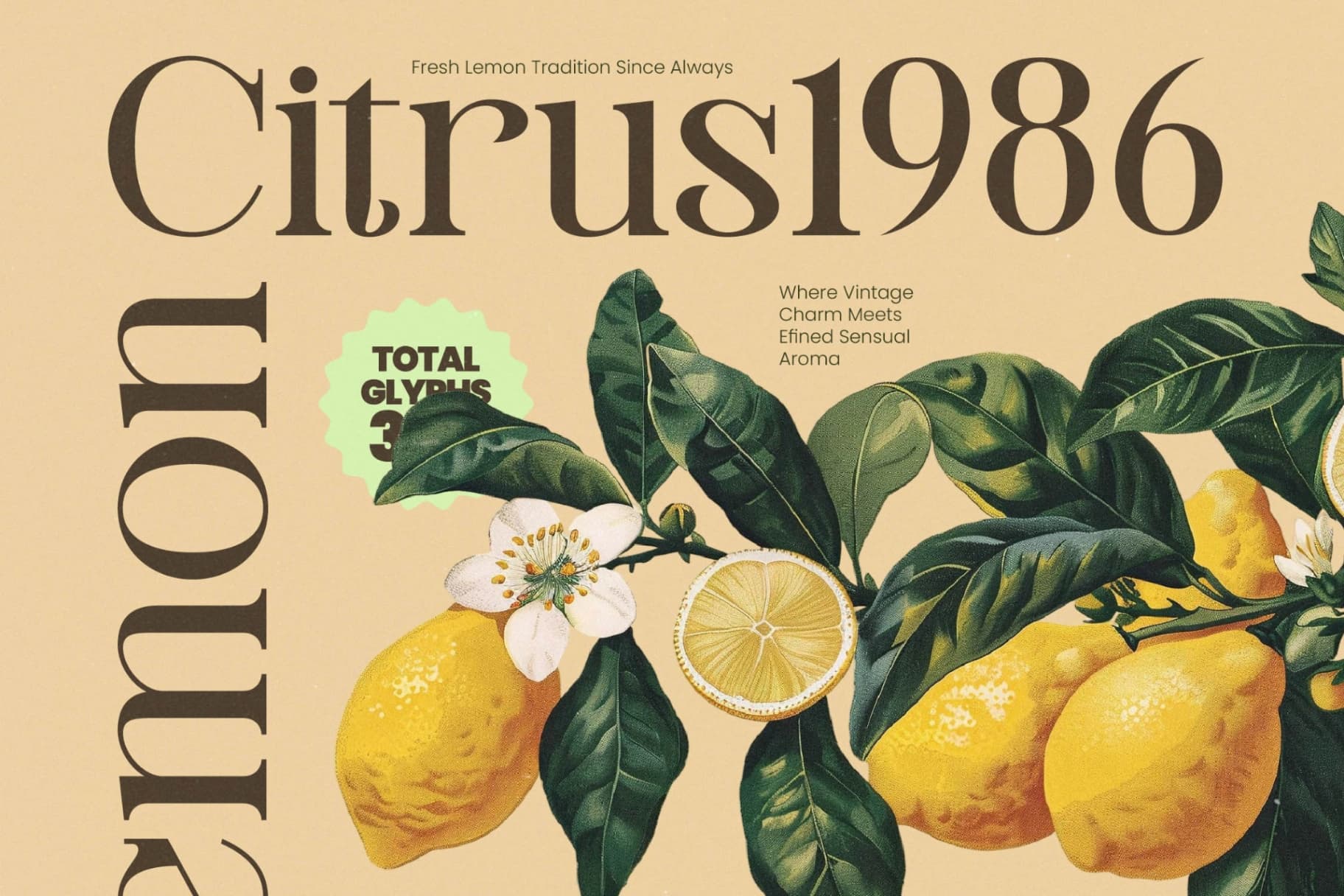 Preview 11 for Montague Westfield - Serif Vintage