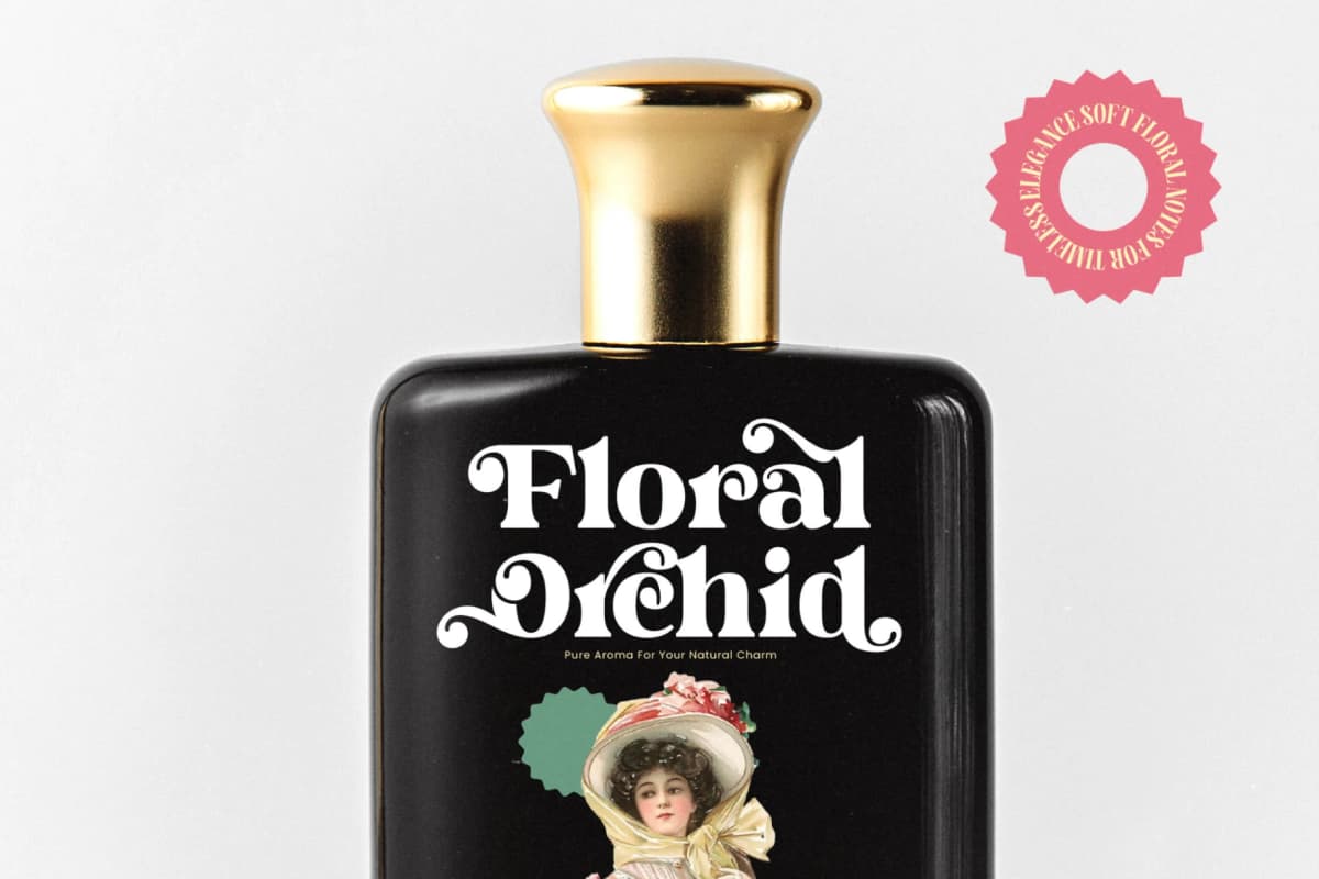 Dream Shine - Playful Vintage Serif font preview 13