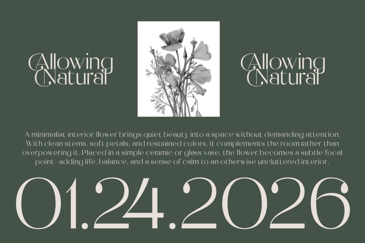 Preview 4 for Raslera - Thin Sans Serif Display