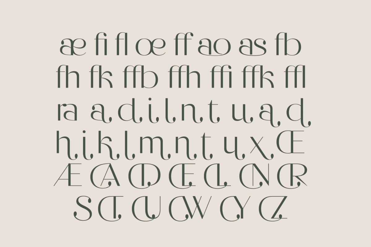 Preview 17 for Raslera - Thin Sans Serif Display