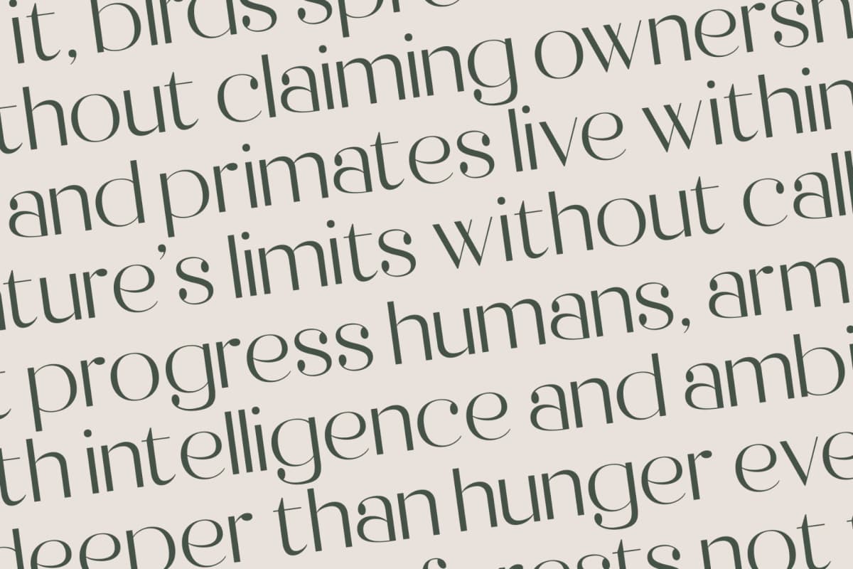 Preview 15 for Raslera - Thin Sans Serif Display