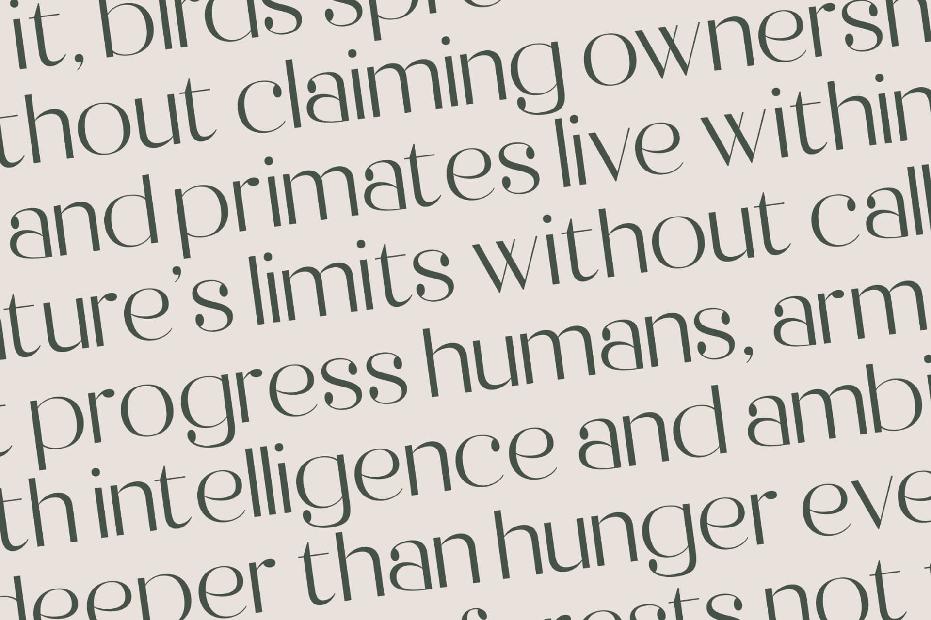 Preview 15 for Raslera - Thin Sans Serif Display