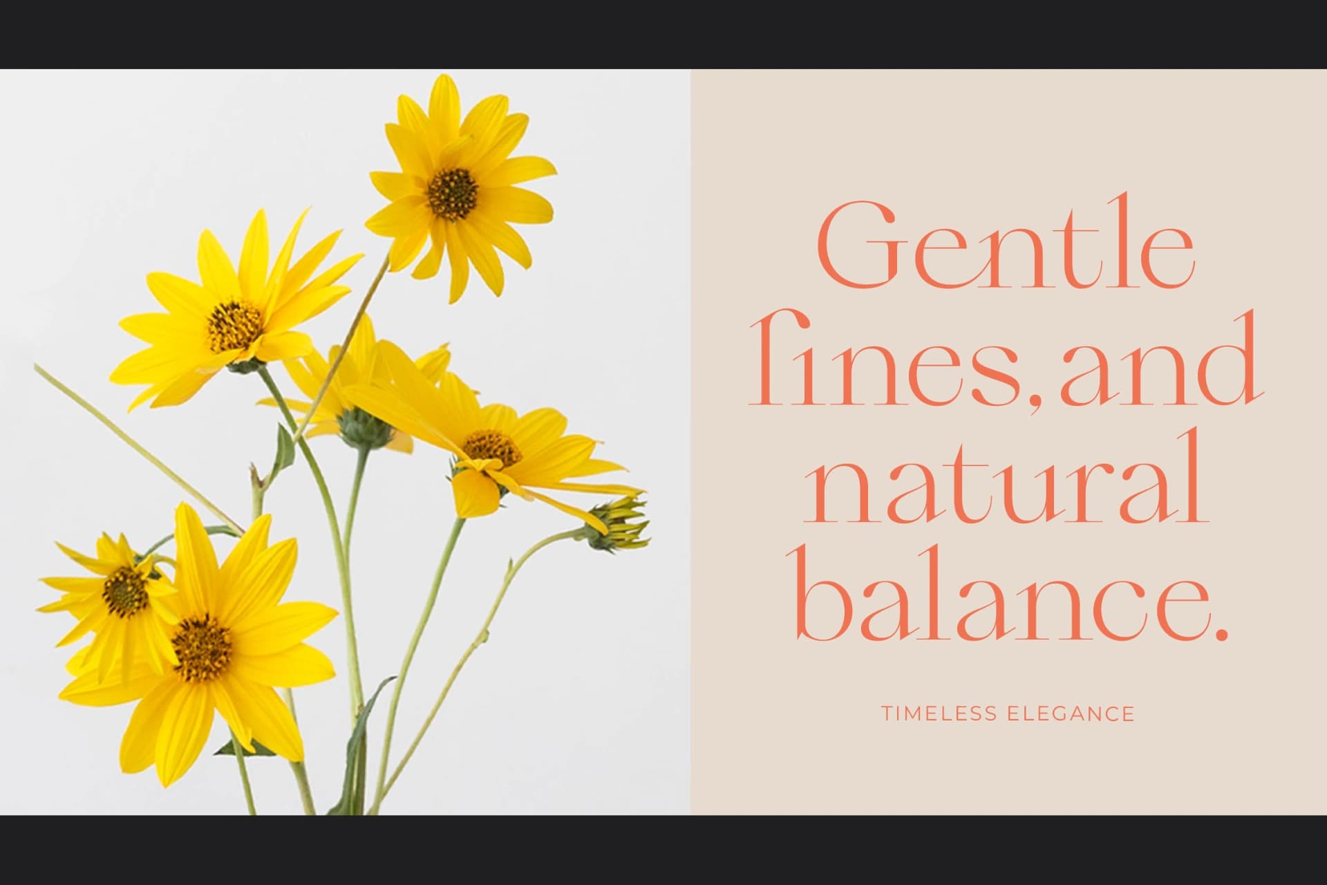Preview 7 for Qiona - Thin Serif Font