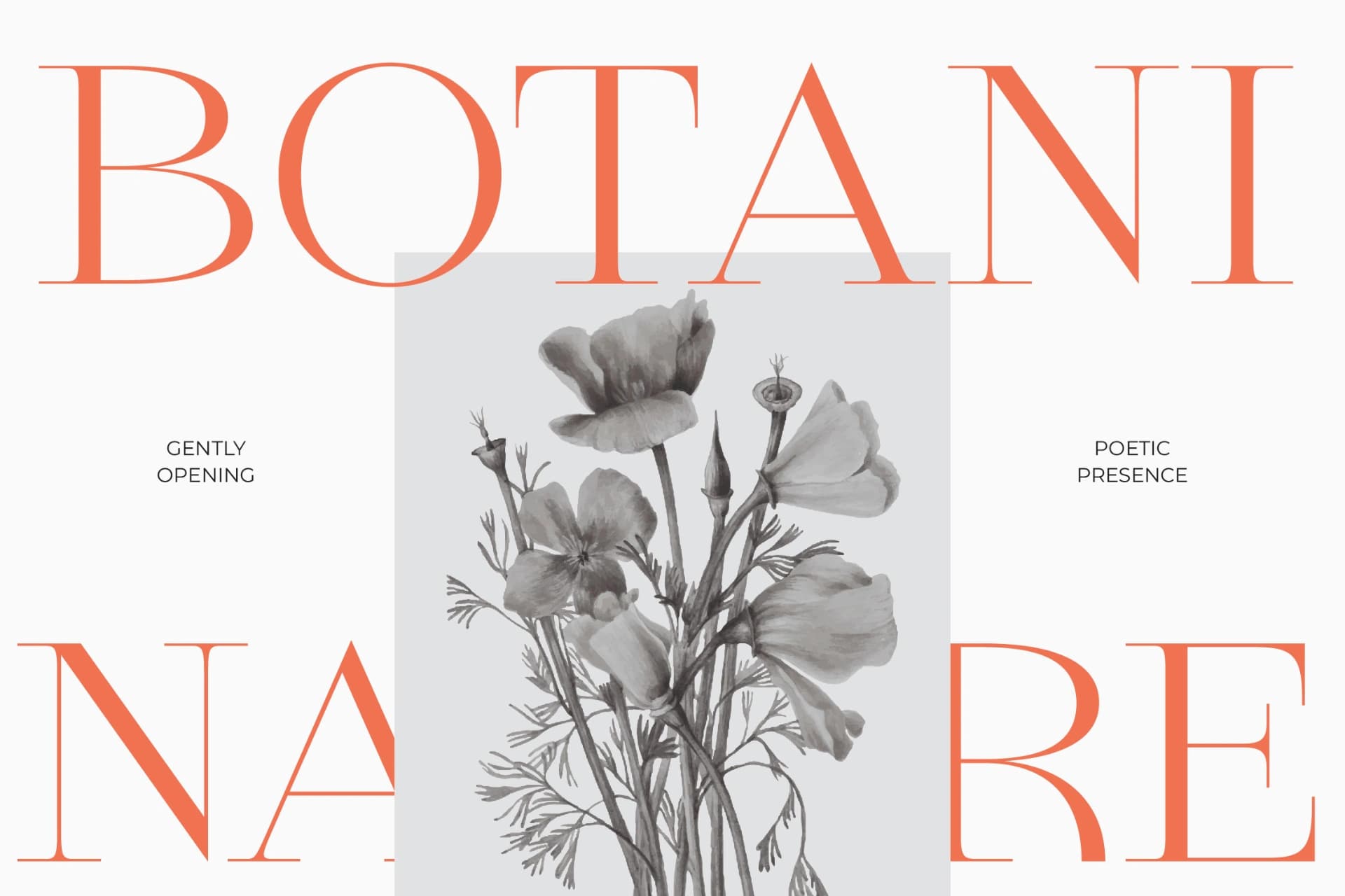 Preview 5 for Qiona - Thin Serif Font