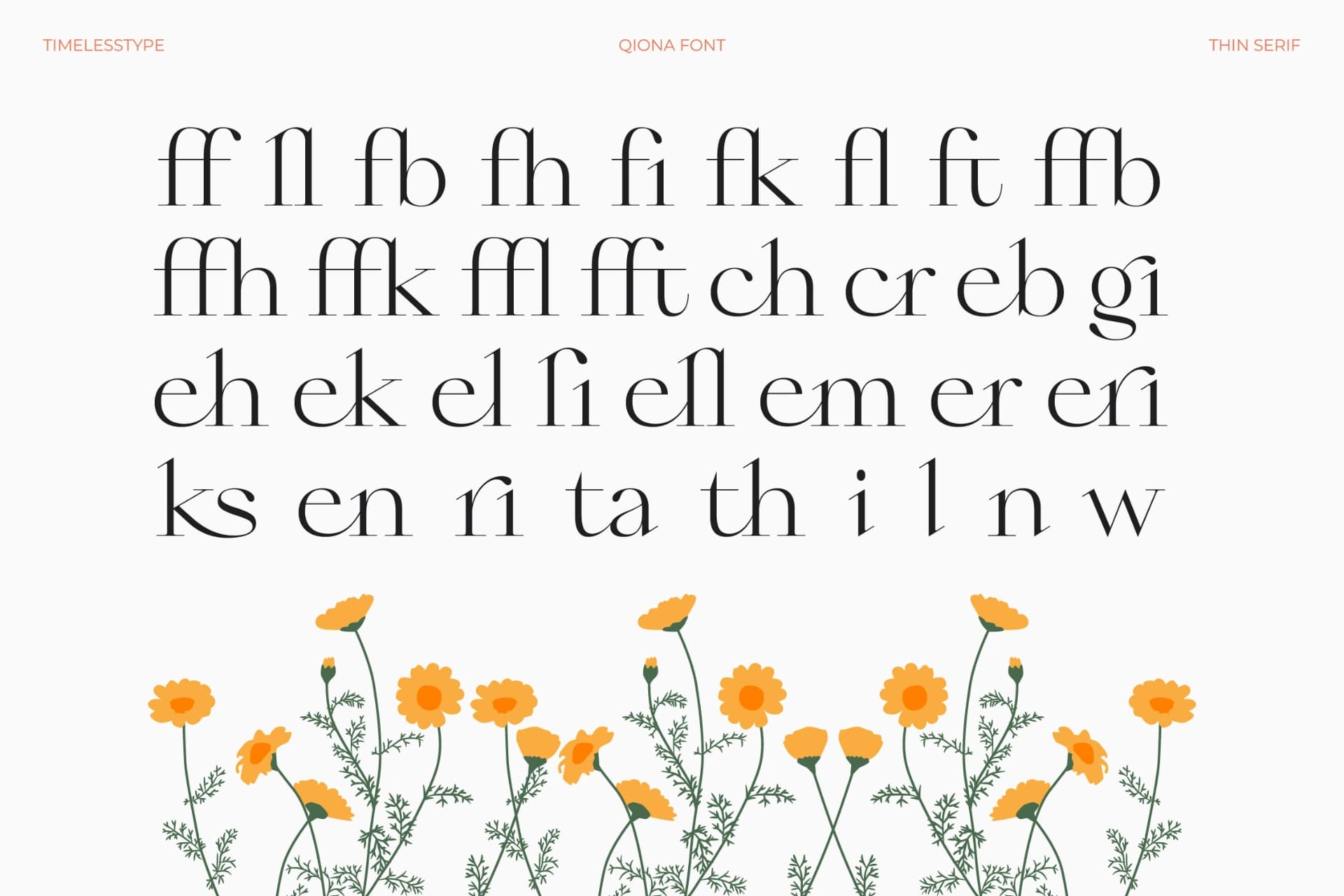 Preview 16 for Qiona - Thin Serif Font