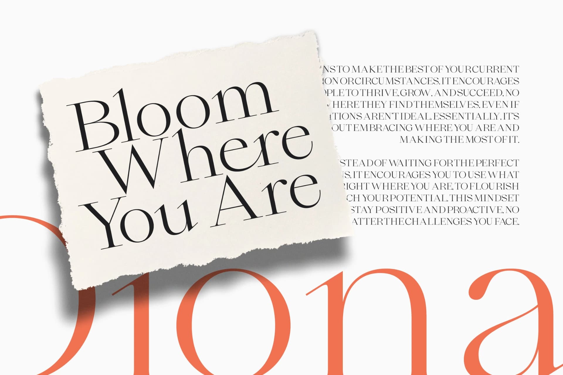 Preview 11 for Qiona - Thin Serif Font