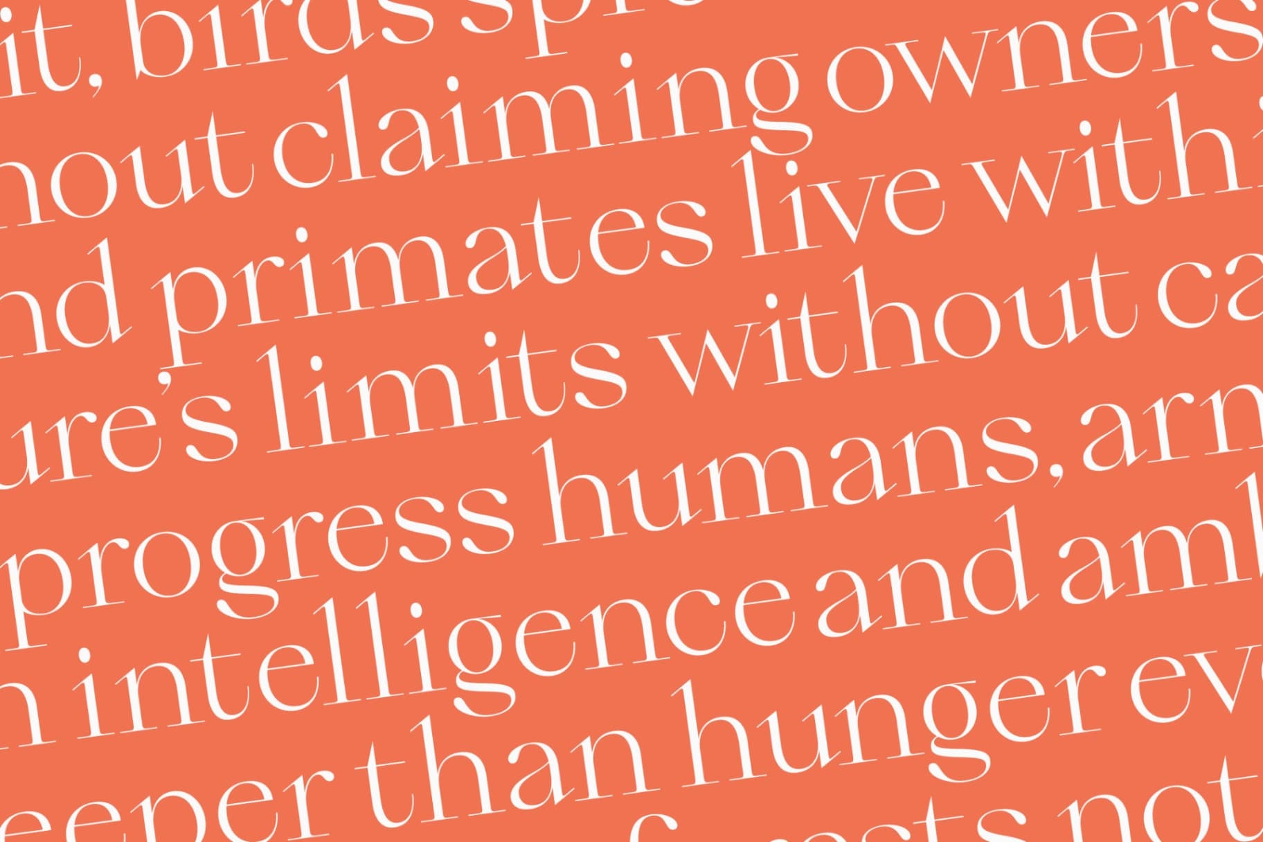 Preview 14 for Qiona - Thin Serif Font