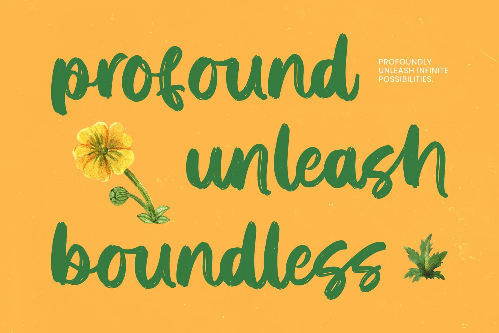 Preview 14 for Solitude Mindful - Bold Brush Font