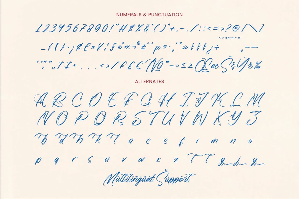 Preview 19 for Jonathans Machelino - Modern Handwritten