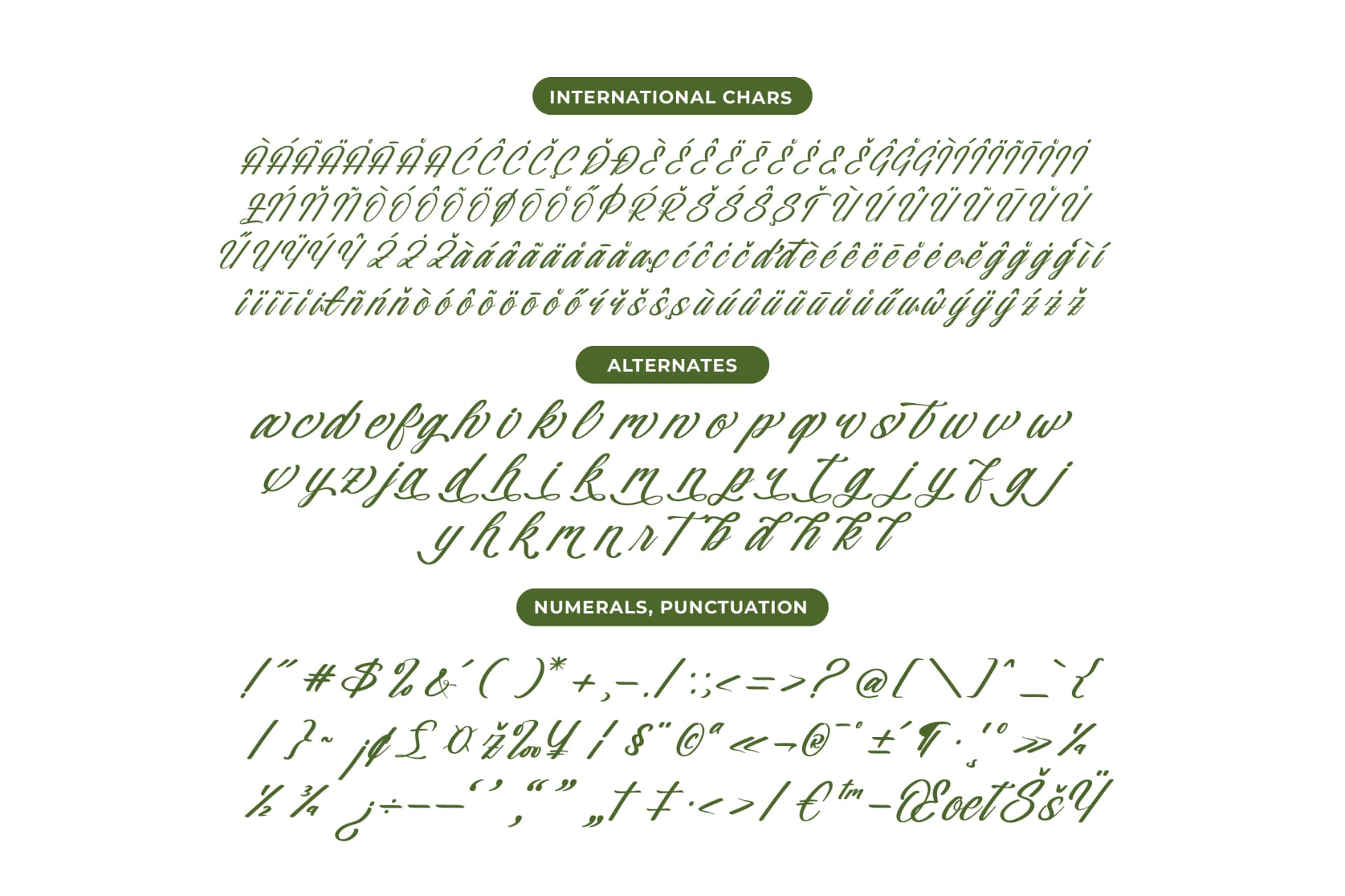 Preview 13 for Nostalgic Pictures - Casual Calligraphy Font