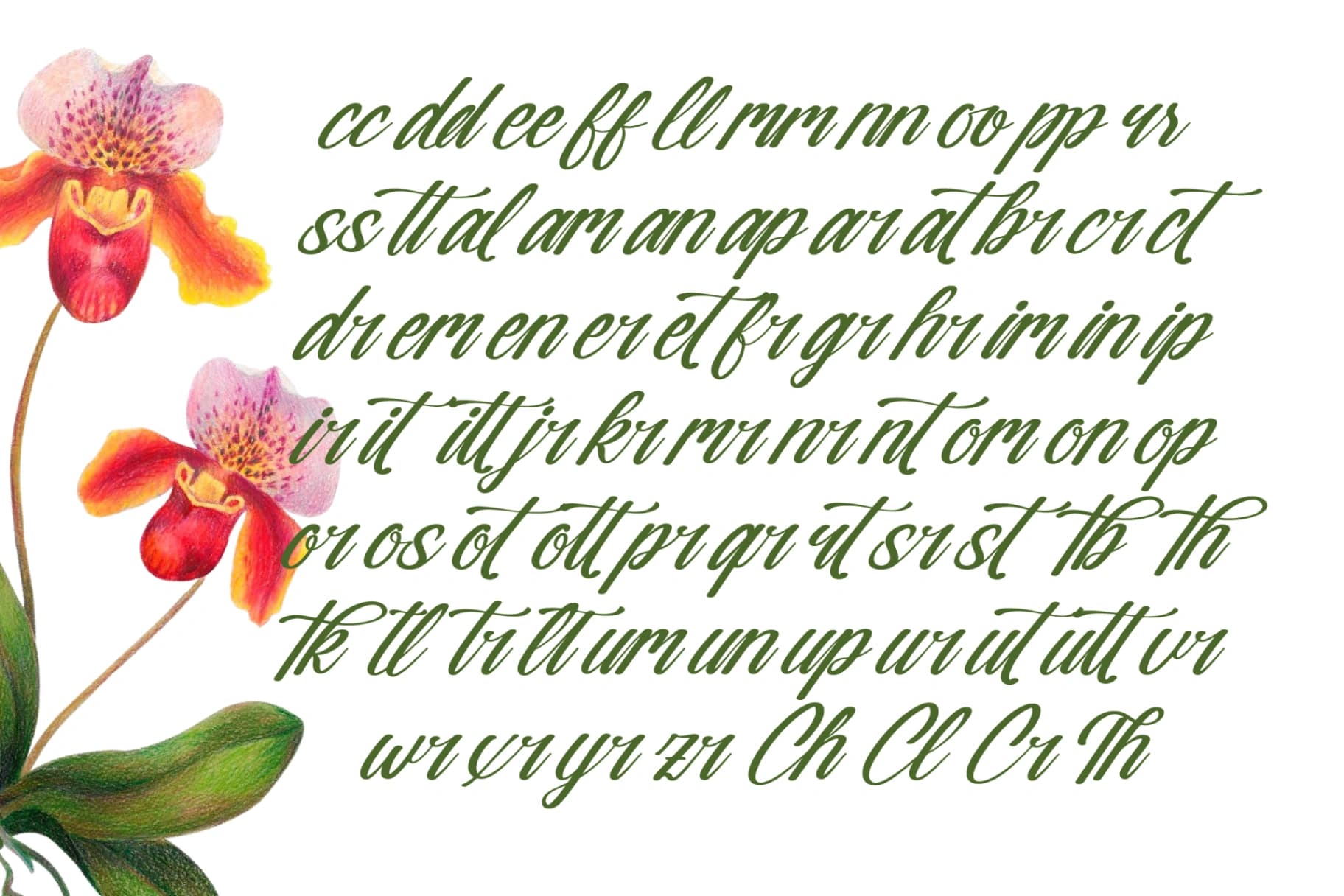 Preview 9 for Nostalgic Pictures - Casual Calligraphy Font