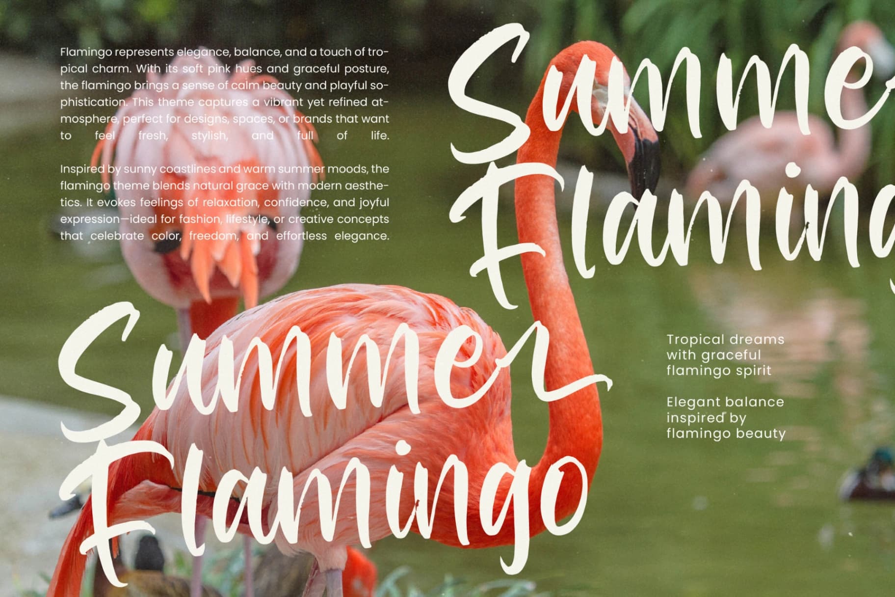 Preview 10 for Redfish Grouper - Bold Modern Handwritten