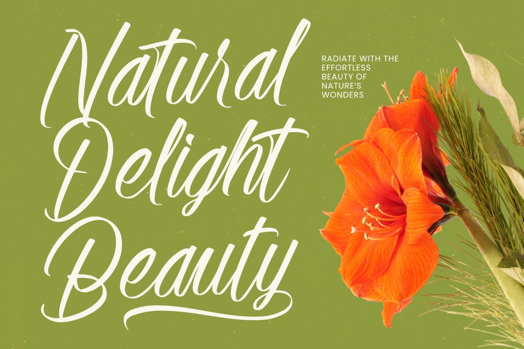 Preview 14 for Alesteny Pojharu - Handwritten Ink Font