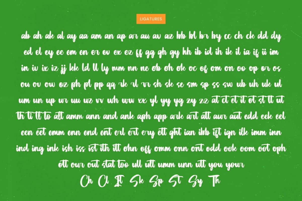 Munch Platter - Modern Brush Font font preview 18