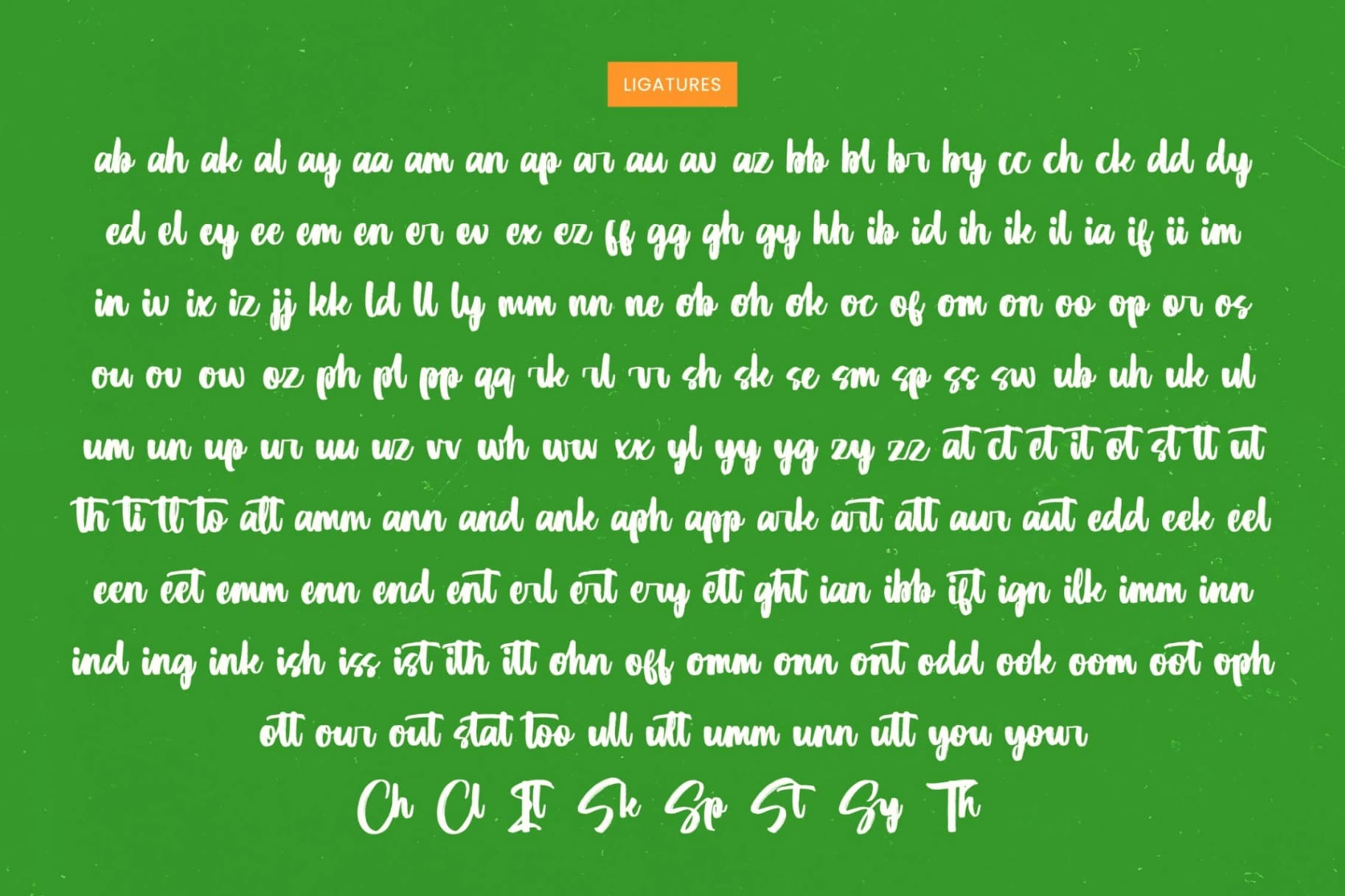 Preview 18 for Munch Platter - Modern Brush Font