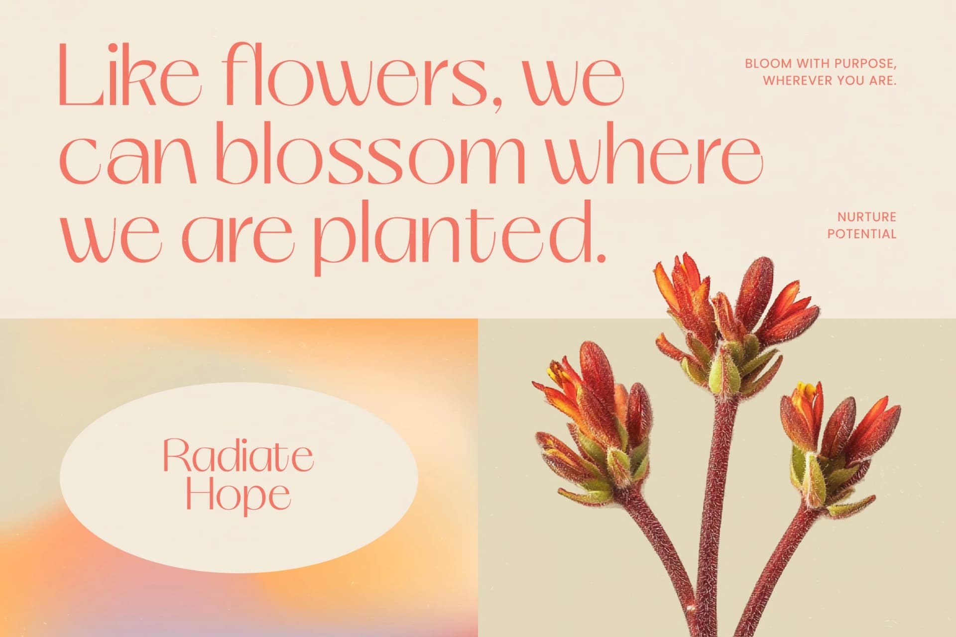 Preview 4 for Smyth Kelagon - Elegant Thin Sans Serif