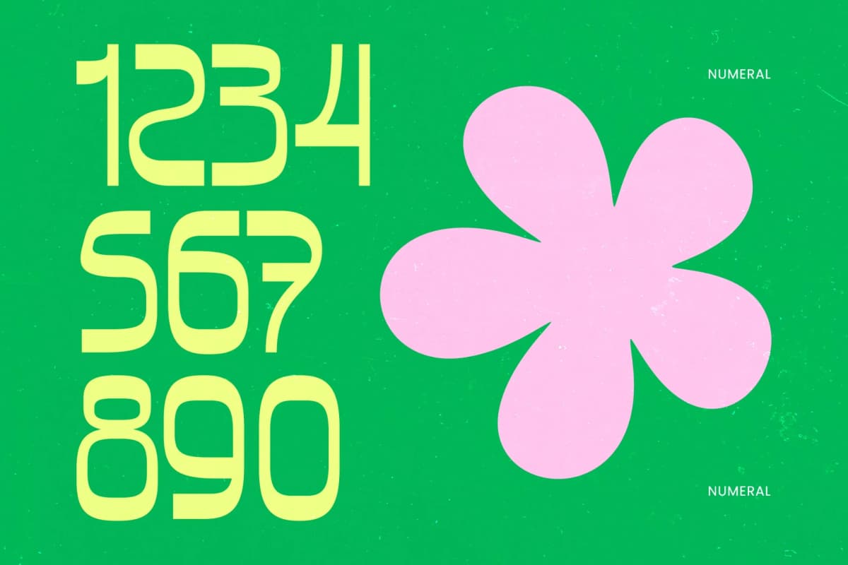 Bonfade Display - Freestyle Sans Display font preview 12