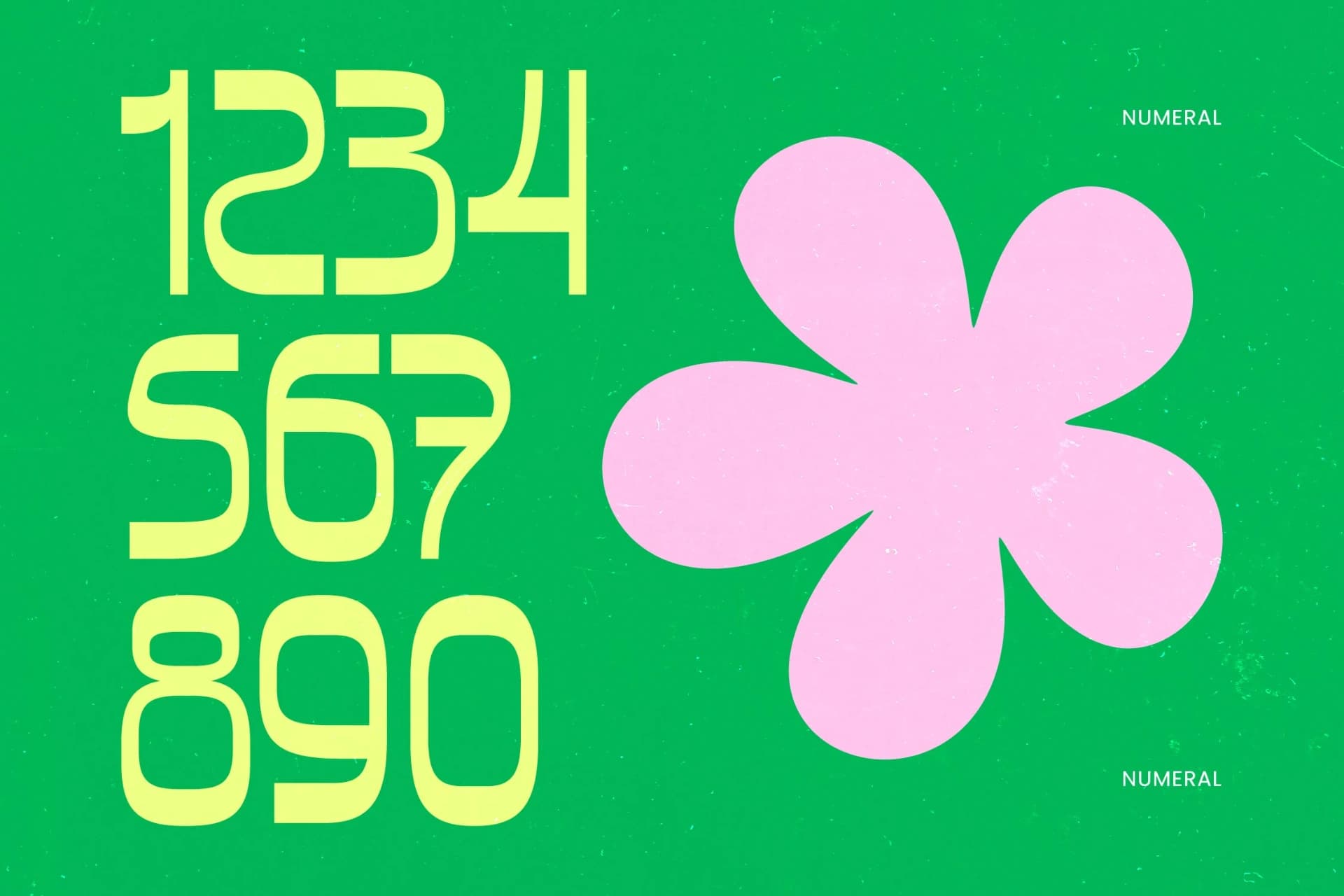 Preview 12 for Bonfade Display - Freestyle Sans Display