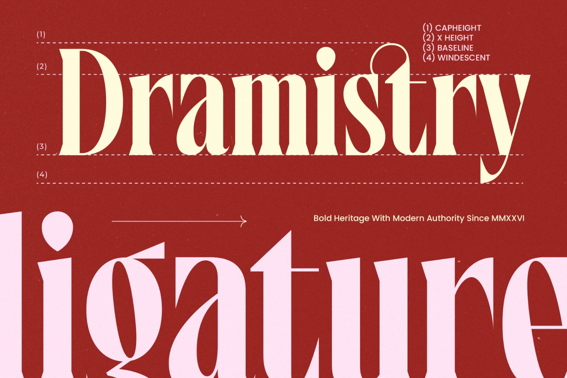 Preview 11 for Maristores - Modern Serif Font