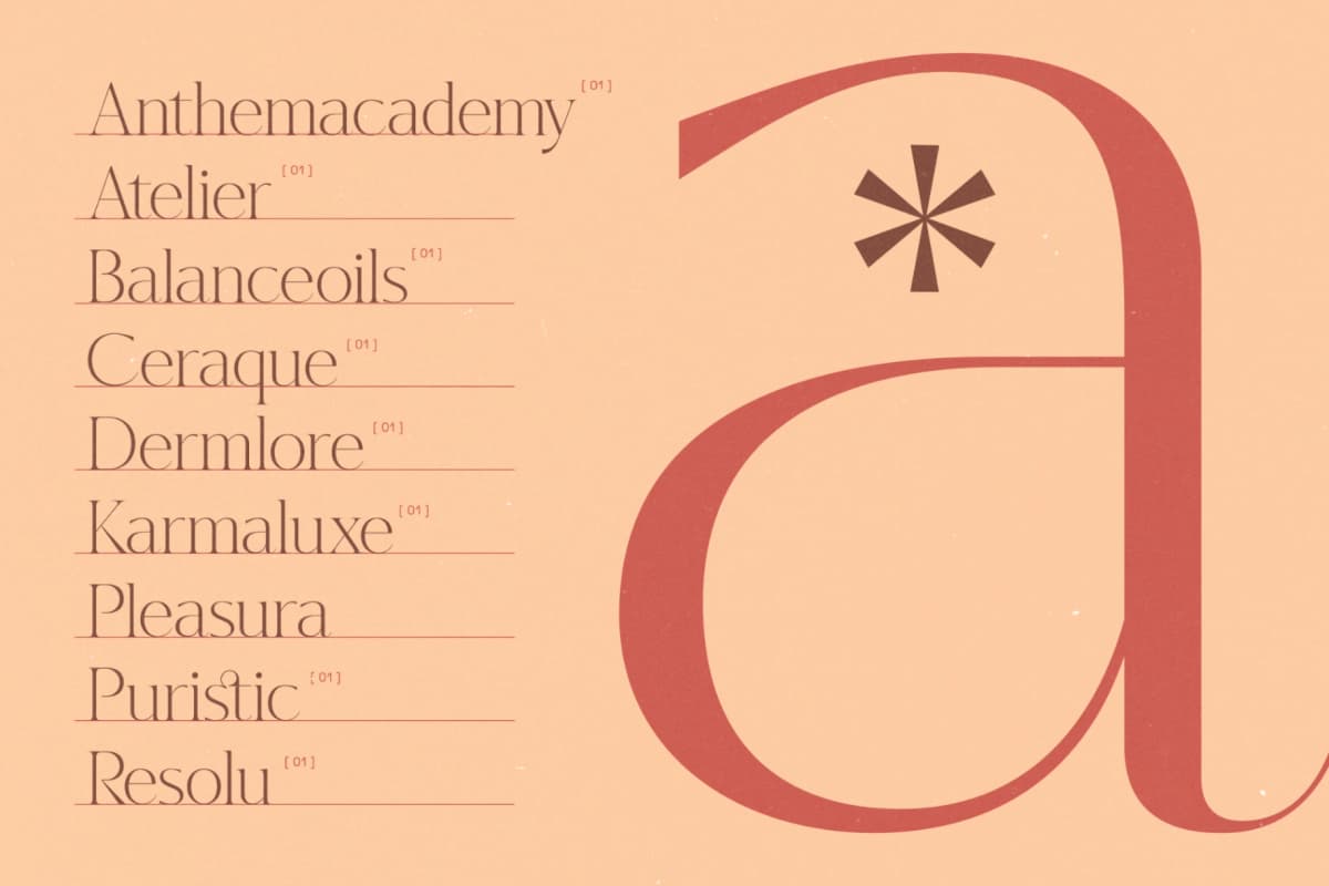 Hekgest - Elegant Modern Serif Font font preview 7