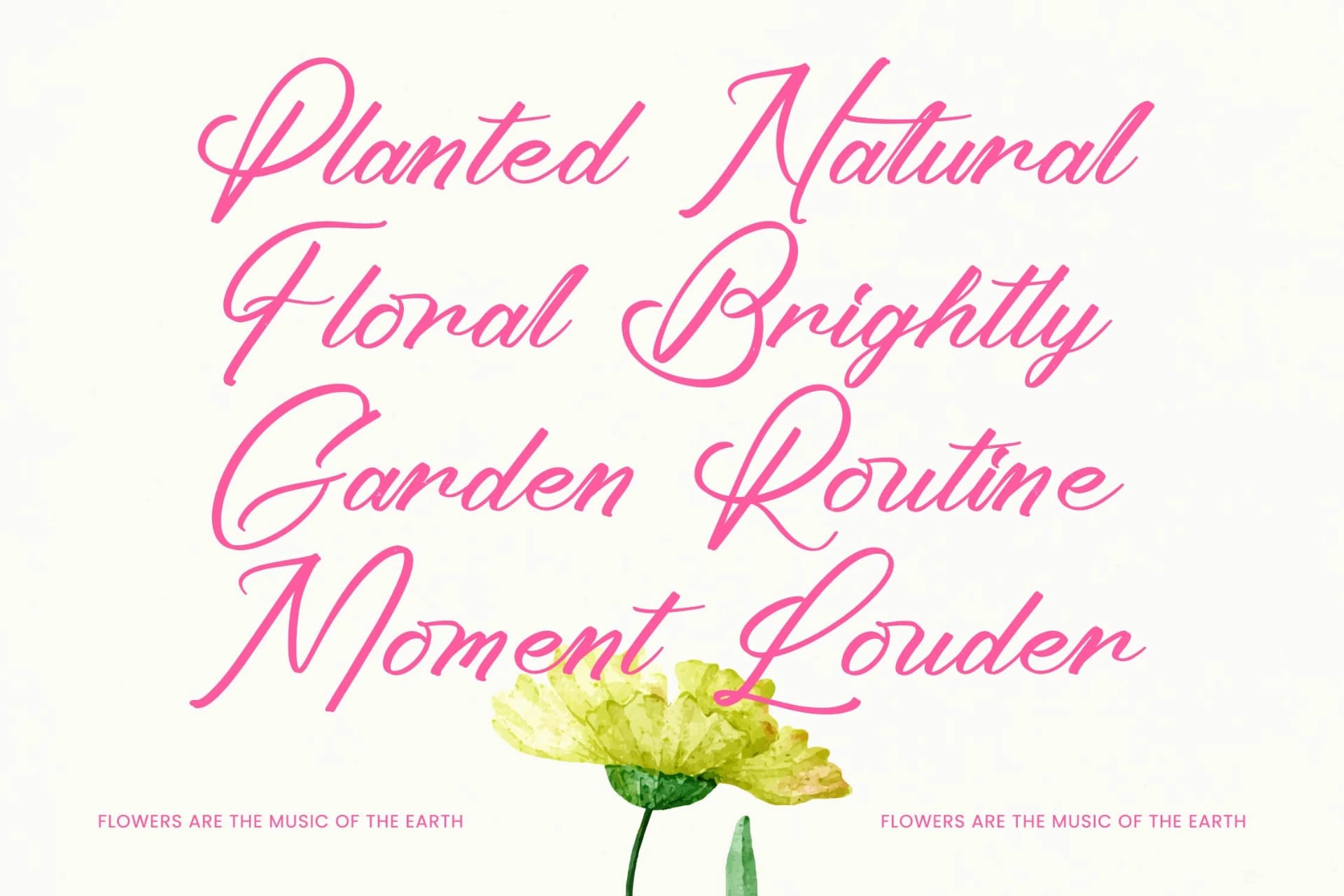 Preview 5 for Ayeshy Clanita - Bold Calligraphy
