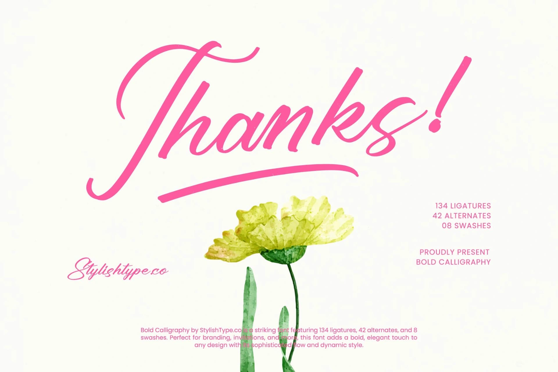 Preview 20 for Ayeshy Clanita - Bold Calligraphy