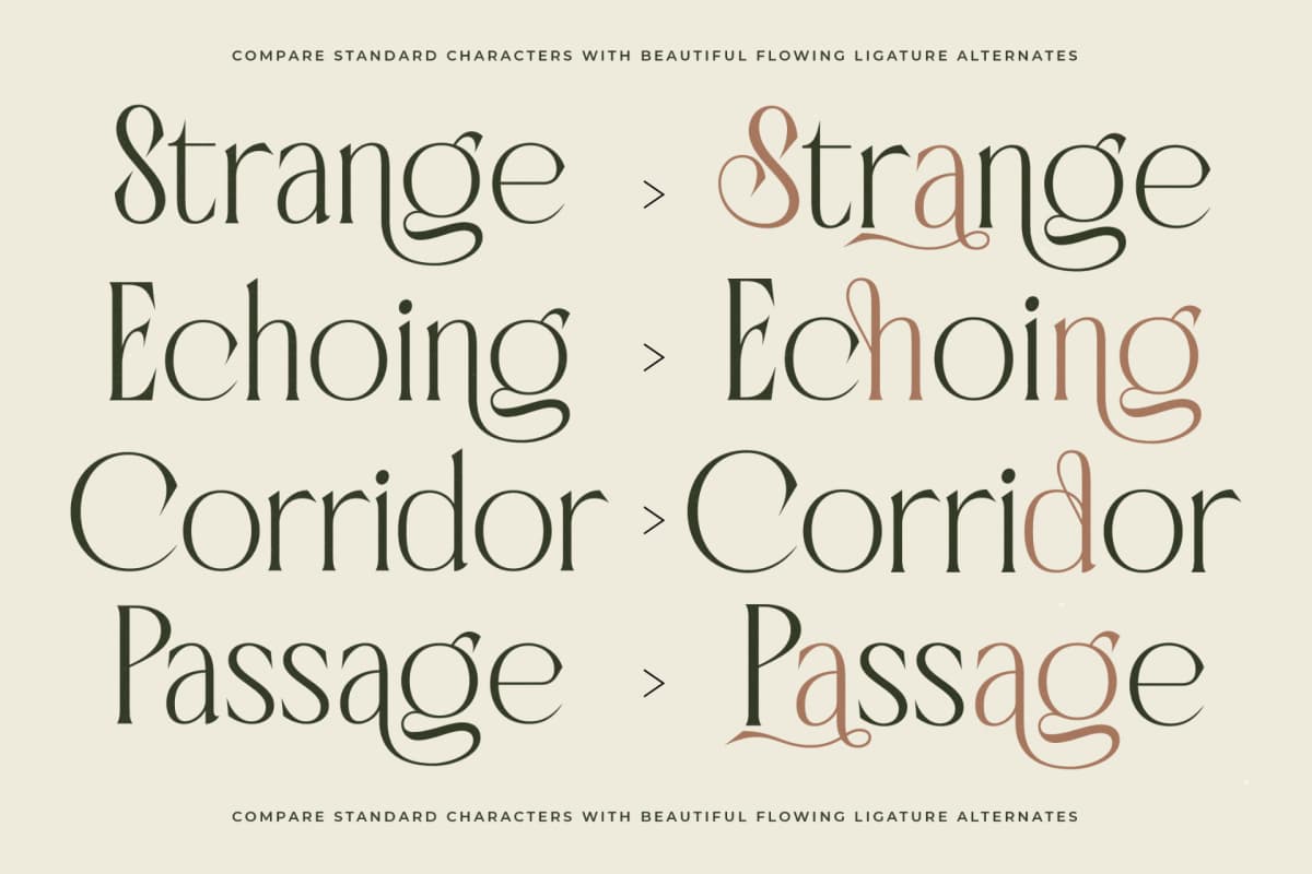 Badgeils - Modern Alternate Serif Font font preview 10