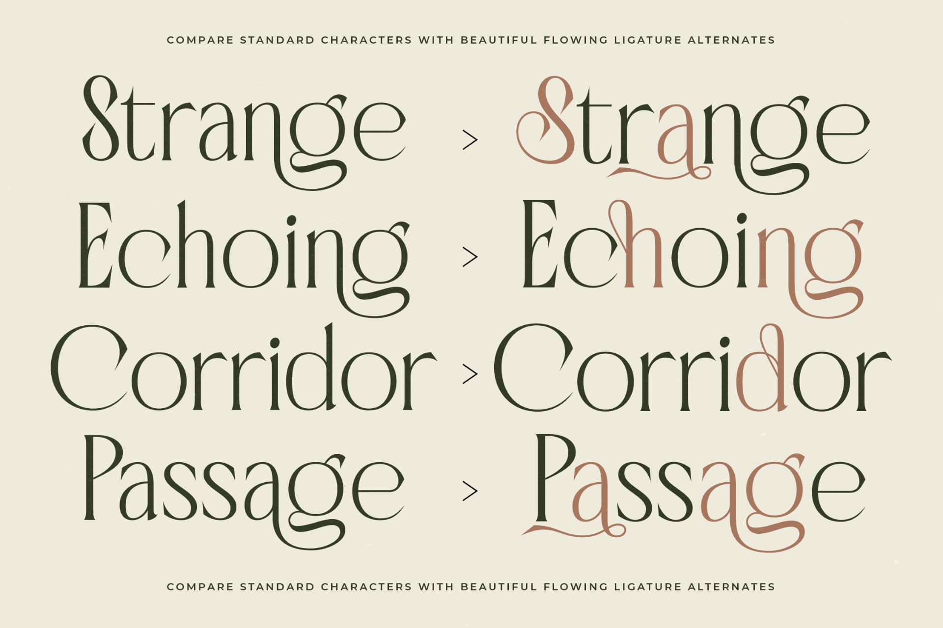 Preview 10 for Badgeils - Modern Alternate Serif Font