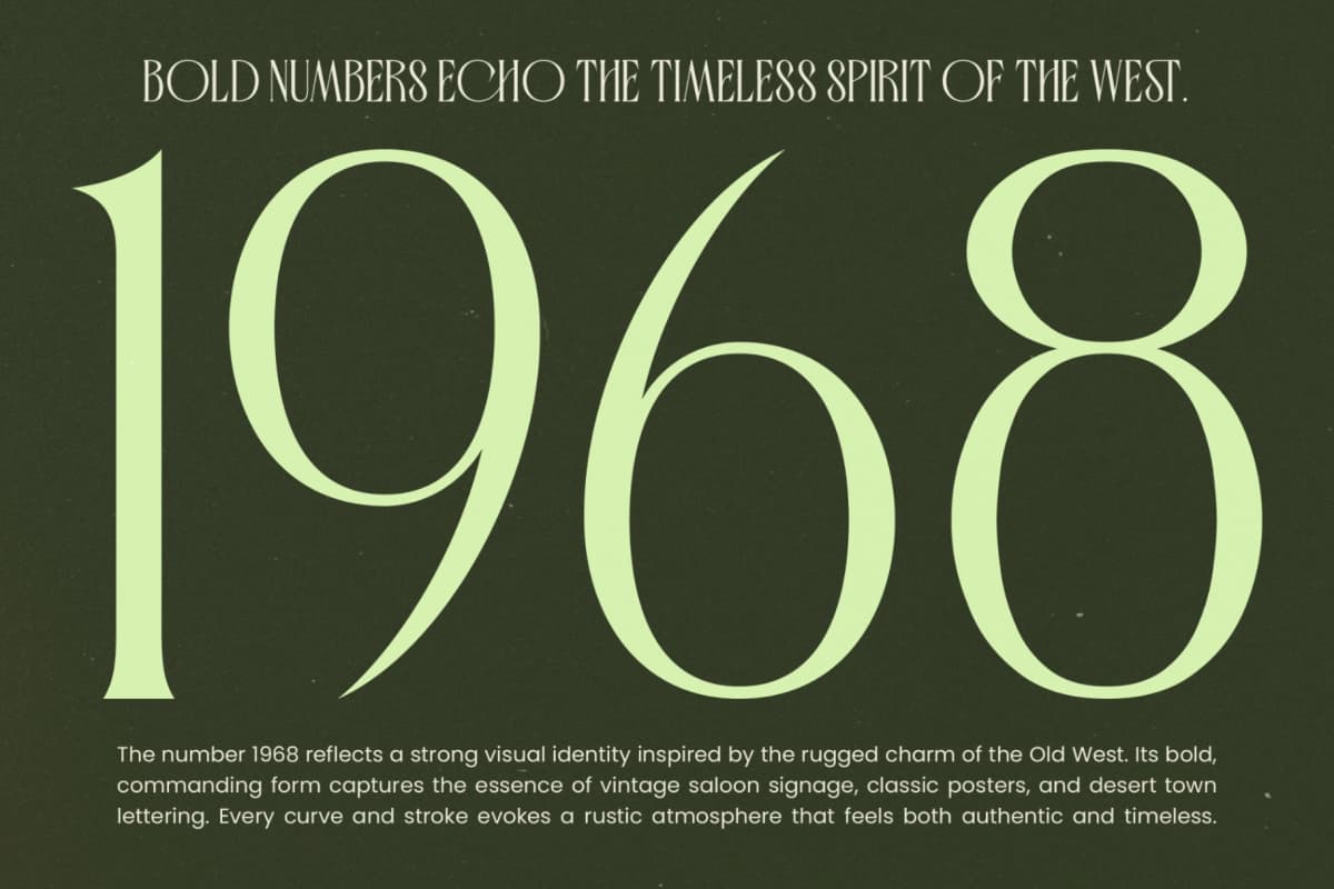 Badgeils - Modern Alternate Serif Font font preview 13