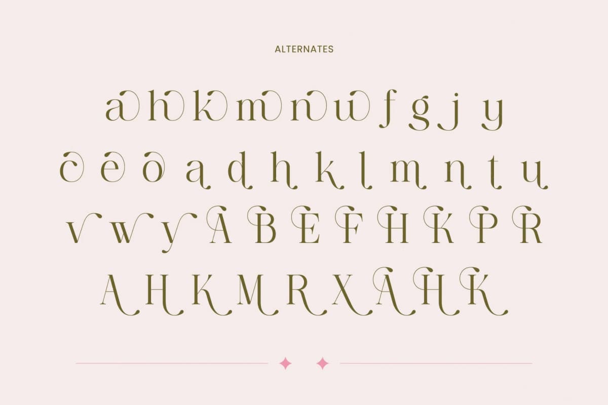 Bagvan Anstic - Eleghant Thin Serif font preview 17