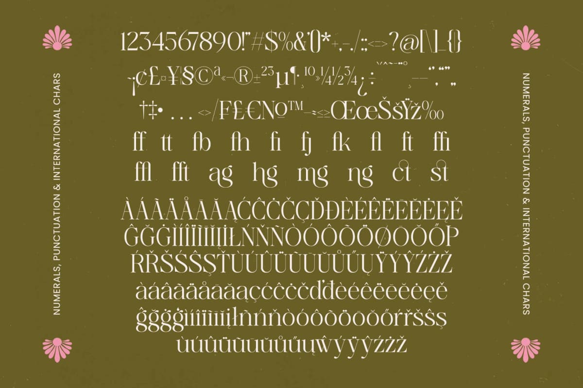 Bagvan Anstic - Eleghant Thin Serif font preview 19