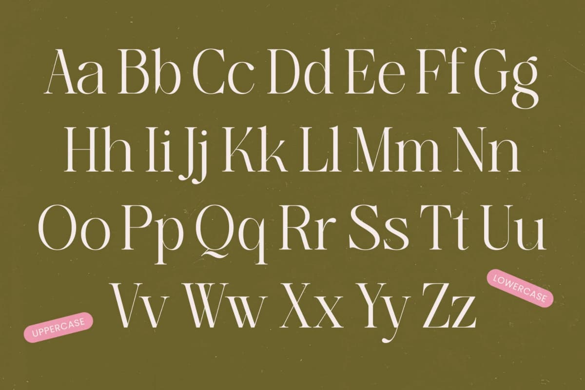 Bagvan Anstic - Eleghant Thin Serif font preview 13